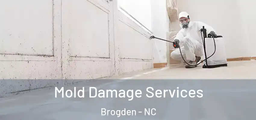 Mold Damage Services Brogden - NC