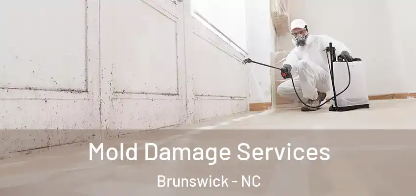  Mold Damage Services Brunswick - NC