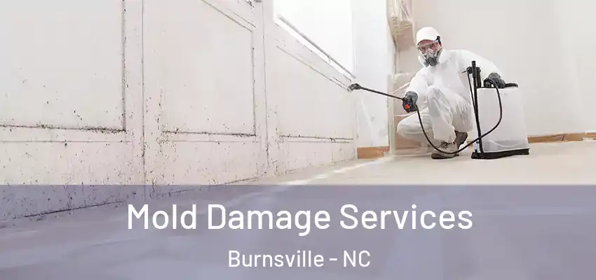 Mold Damage Services Burnsville - NC