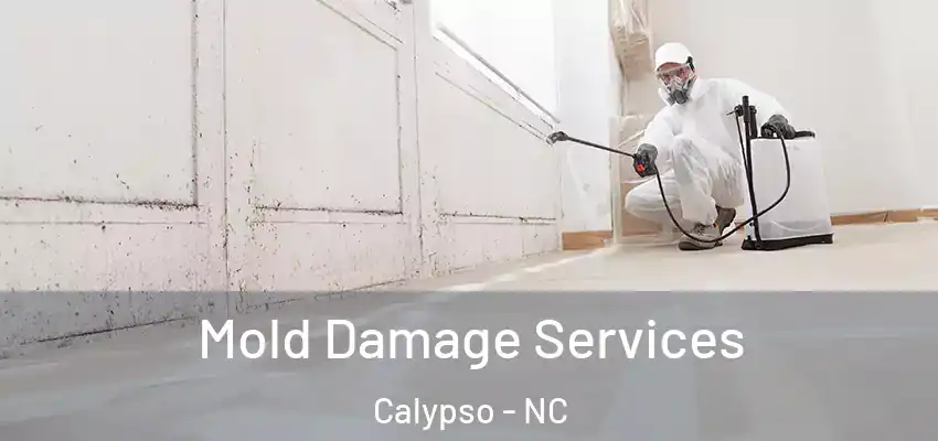  Mold Damage Services Calypso - NC