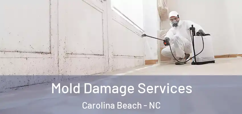  Mold Damage Services Carolina Beach - NC