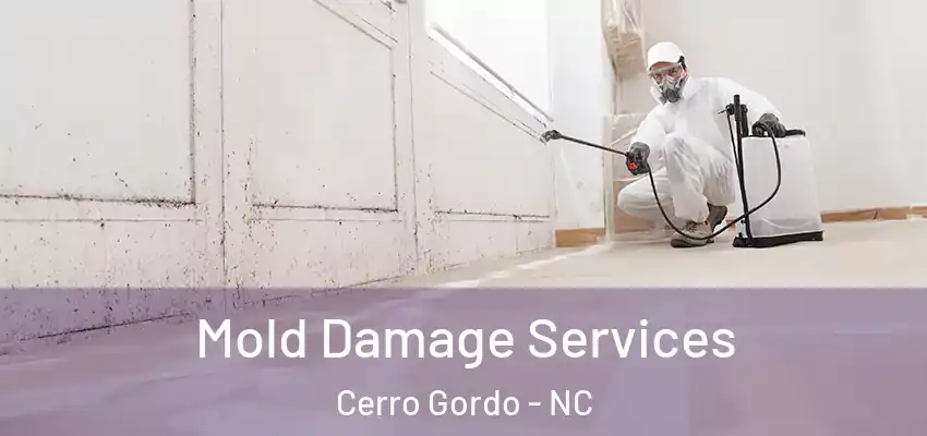  Mold Damage Services Cerro Gordo - NC