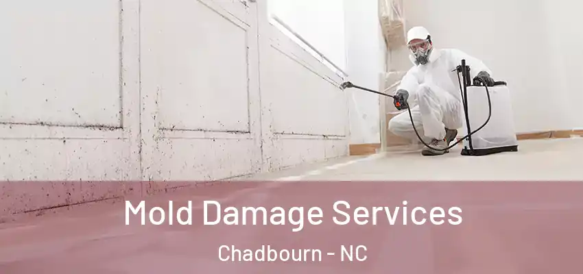  Mold Damage Services Chadbourn - NC
