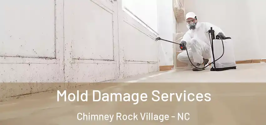  Mold Damage Services Chimney Rock Village - NC