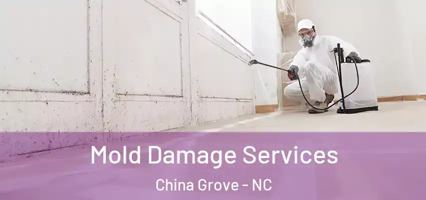 Mold Damage Services China Grove - NC