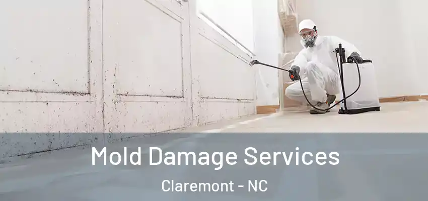 Mold Damage Services Claremont - NC