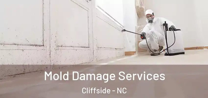 Mold Damage Services Cliffside - NC