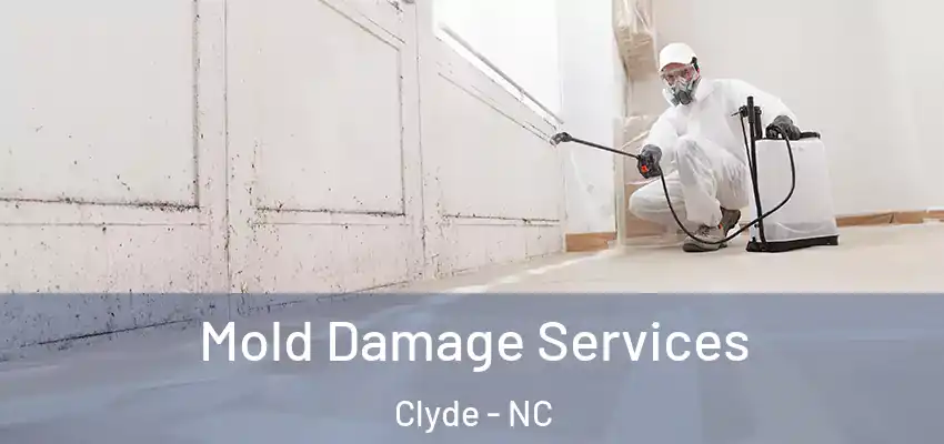  Mold Damage Services Clyde - NC
