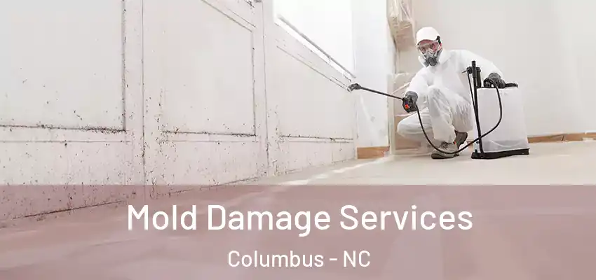  Mold Damage Services Columbus - NC
