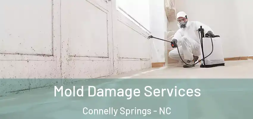  Mold Damage Services Connelly Springs - NC