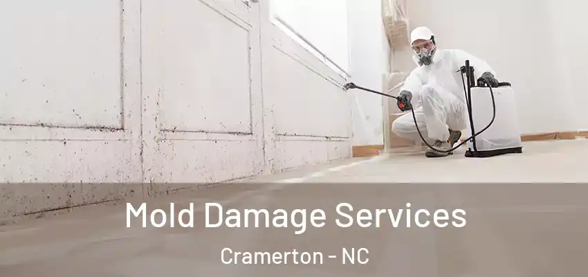  Mold Damage Services Cramerton - NC