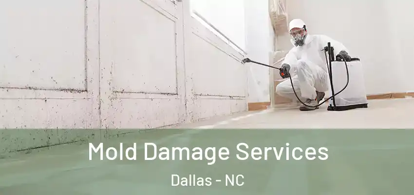 Mold Damage Services Dallas - NC