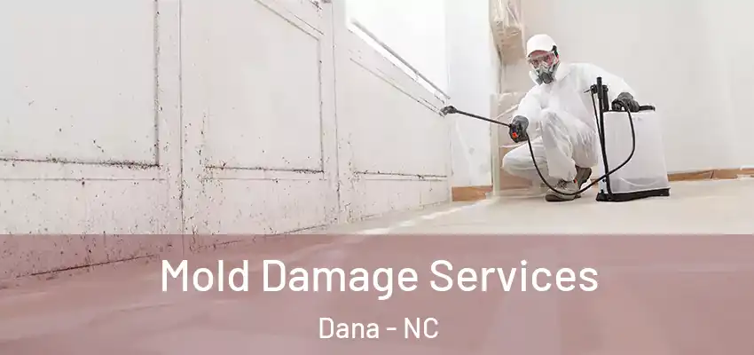 Mold Damage Services Dana - NC