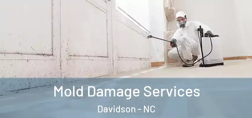 Mold Damage Services Davidson - NC