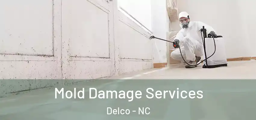  Mold Damage Services Delco - NC