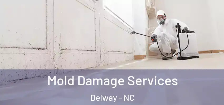 Mold Damage Services Delway - NC