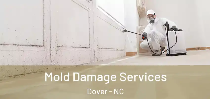 Mold Damage Services Dover - NC
