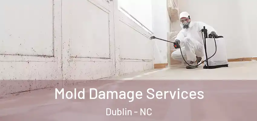  Mold Damage Services Dublin - NC