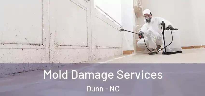 Mold Damage Services Dunn - NC