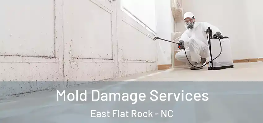  Mold Damage Services East Flat Rock - NC