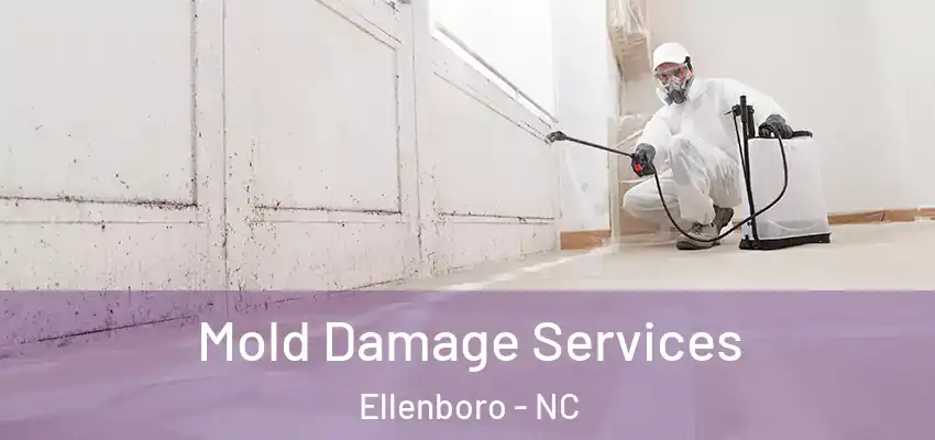 Mold Damage Services Ellenboro - NC