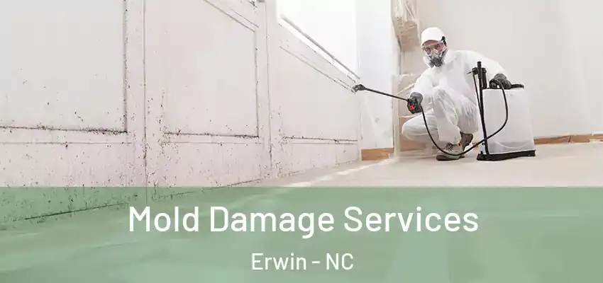 Mold Damage Services Erwin - NC