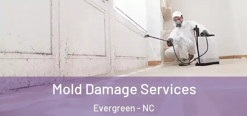 Mold Damage Services Evergreen - NC