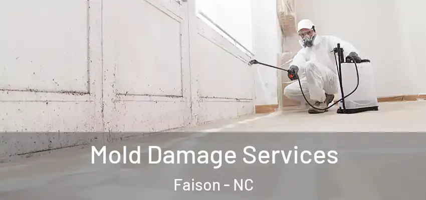 Mold Damage Services Faison - NC