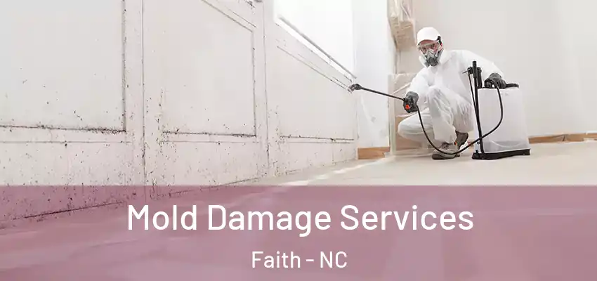 Mold Damage Services Faith - NC