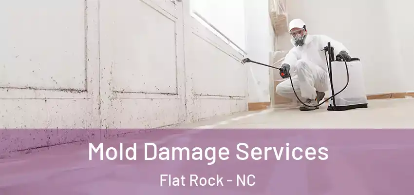  Mold Damage Services Flat Rock - NC