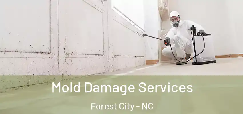 Mold Damage Services Forest City - NC