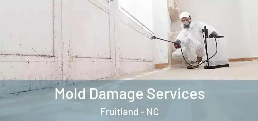 Mold Damage Services Fruitland - NC