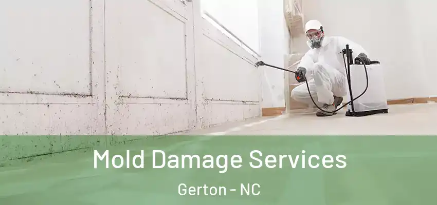 Mold Damage Services Gerton - NC