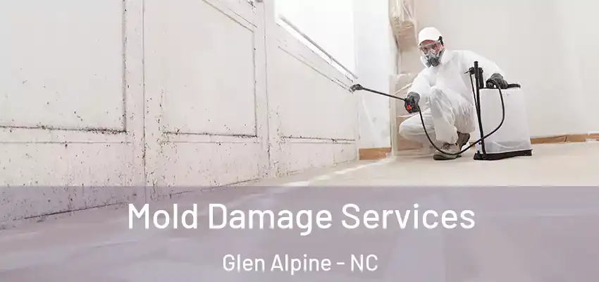 Mold Damage Services Glen Alpine - NC