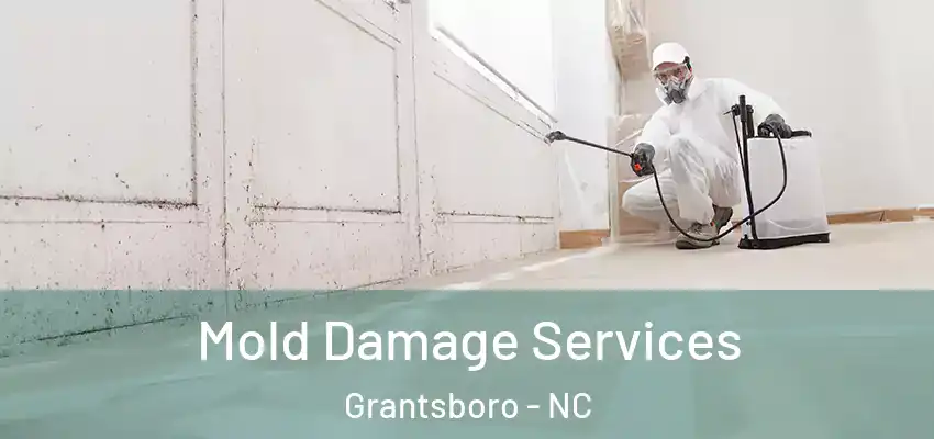  Mold Damage Services Grantsboro - NC