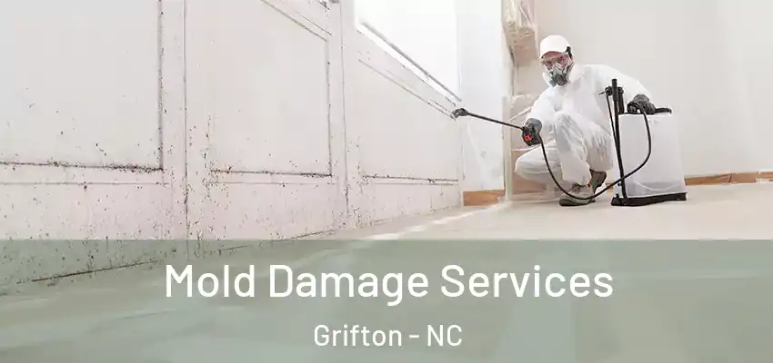  Mold Damage Services Grifton - NC