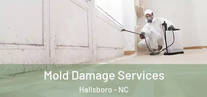 Mold Damage Services Hallsboro - NC