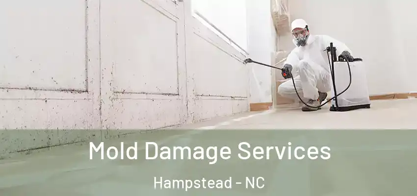  Mold Damage Services Hampstead - NC