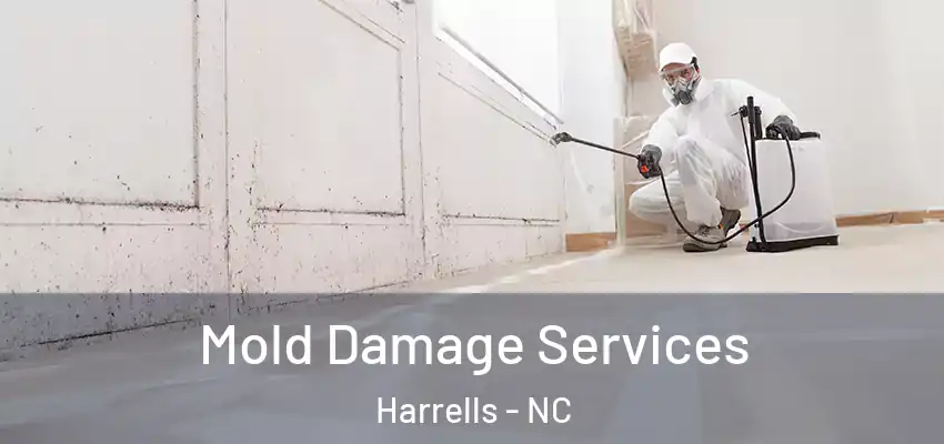 Mold Damage Services Harrells - NC