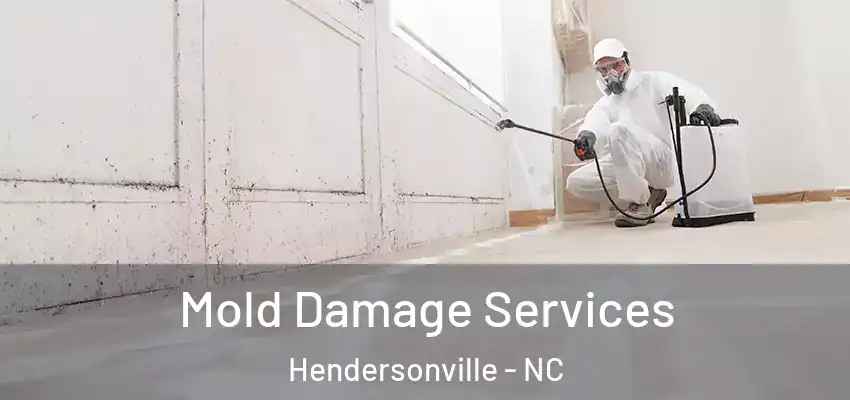 Mold Damage Services Hendersonville - NC