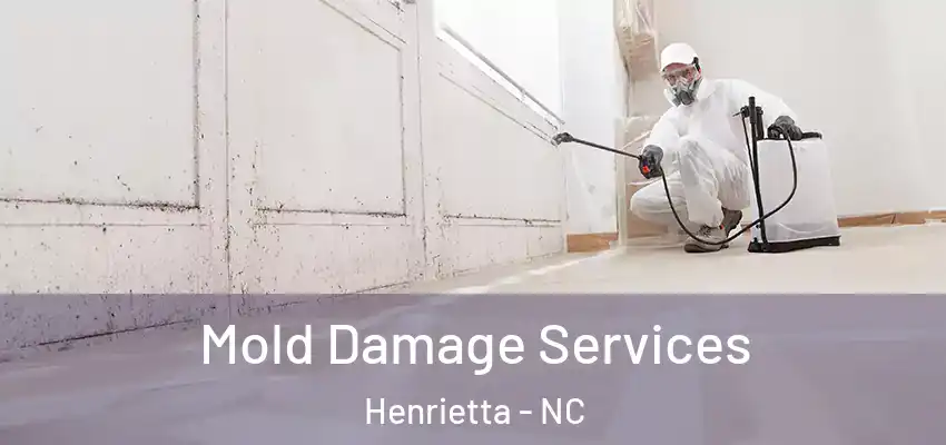 Mold Damage Services Henrietta - NC