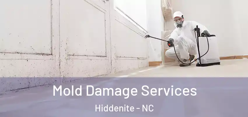  Mold Damage Services Hiddenite - NC