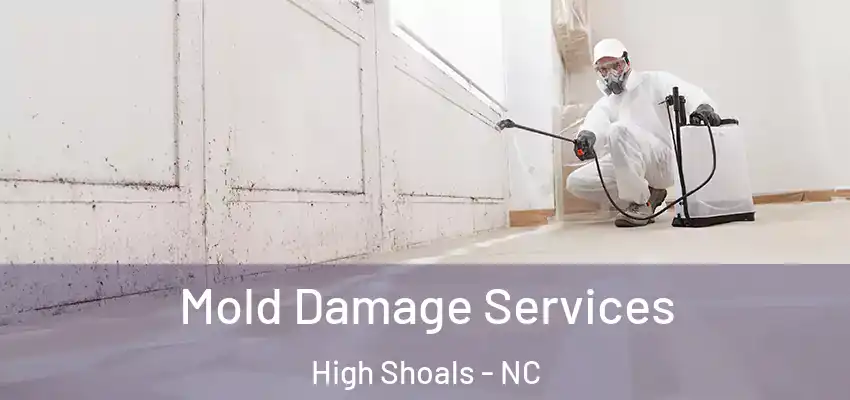 Mold Damage Services High Shoals - NC