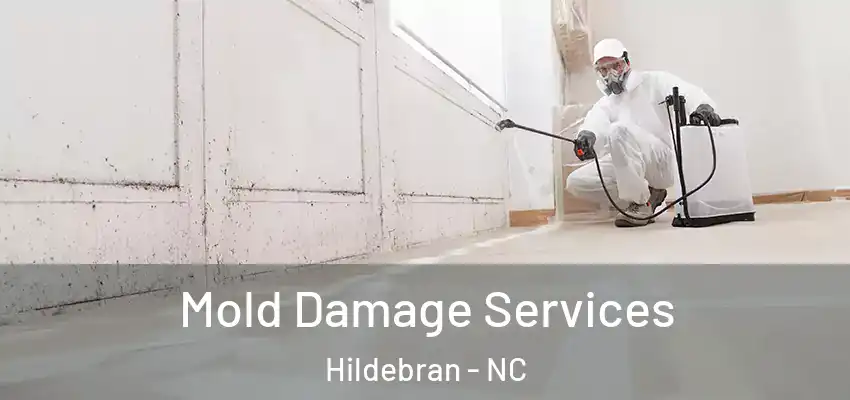Mold Damage Services Hildebran - NC