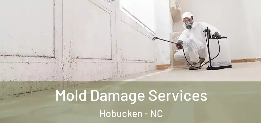  Mold Damage Services Hobucken - NC