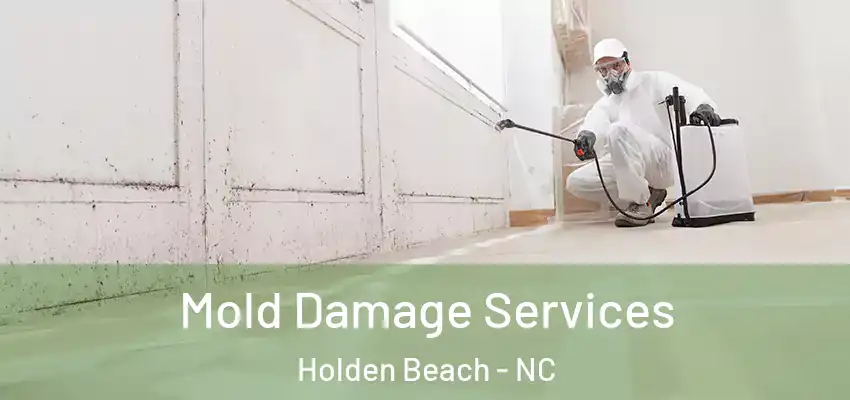  Mold Damage Services Holden Beach - NC