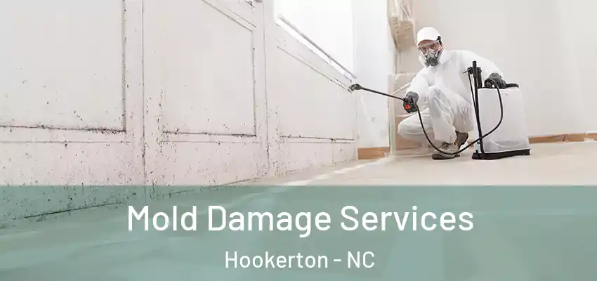 Mold Damage Services Hookerton - NC