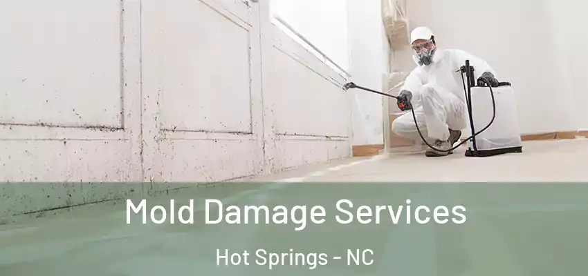 Mold Damage Services Hot Springs - NC