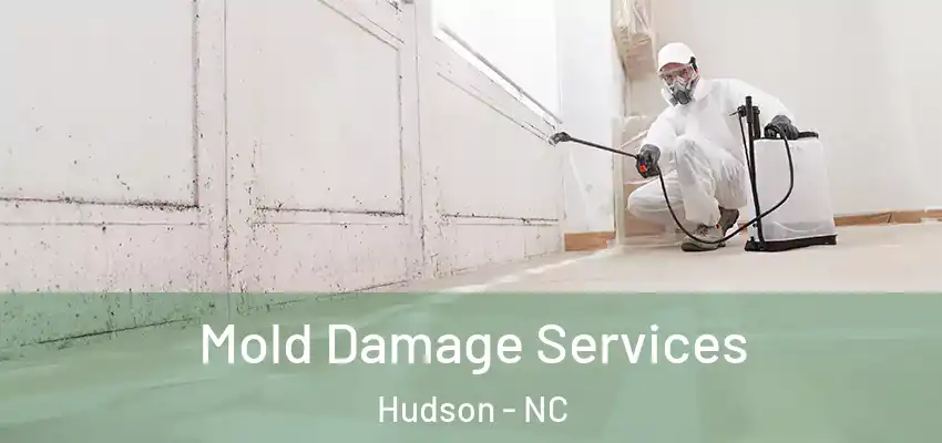 Mold Damage Services Hudson - NC