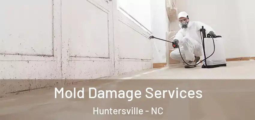  Mold Damage Services Huntersville - NC